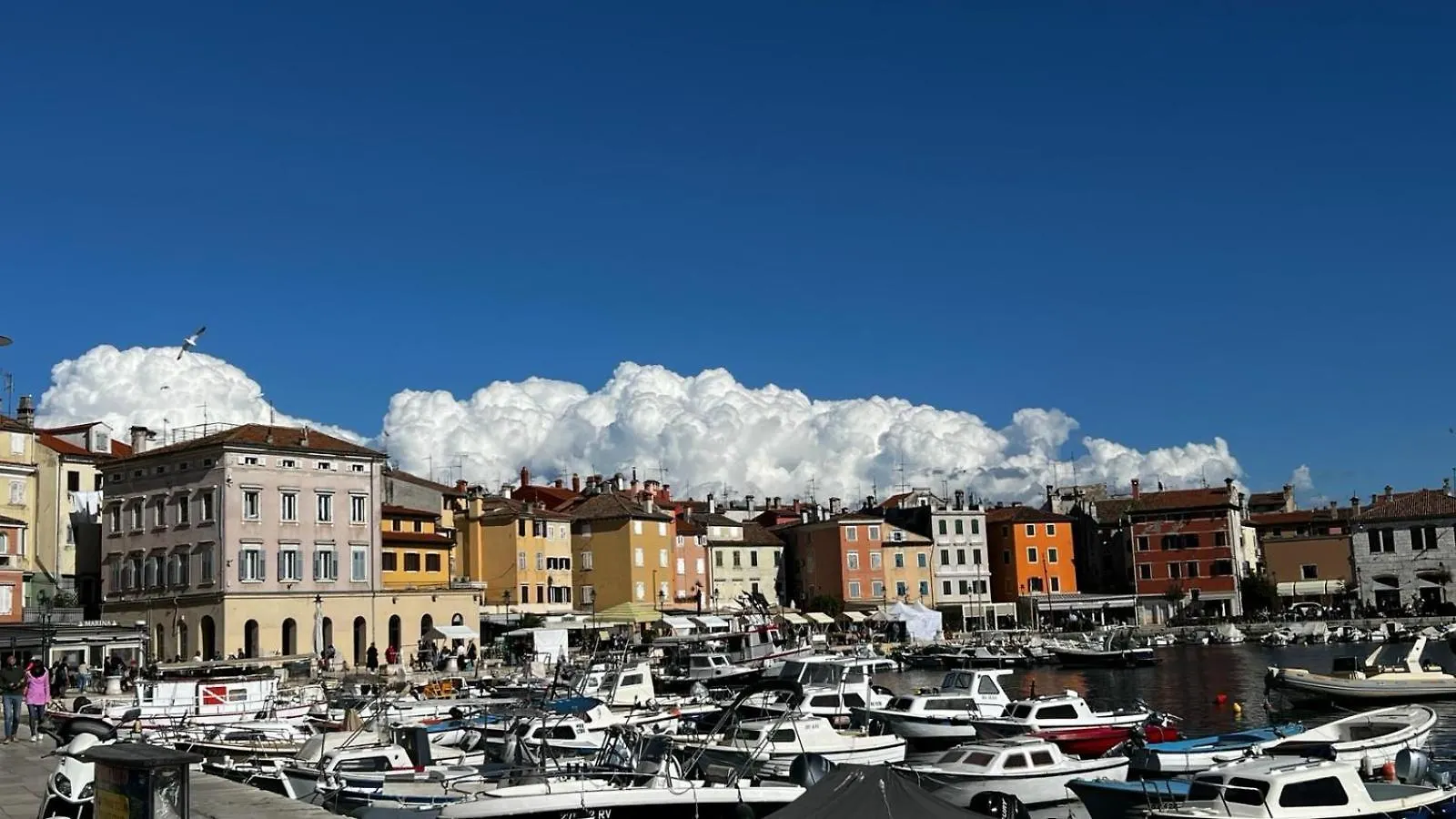 Apartment Michaela 4-Sterne & Parking Rovinj
